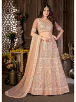 Peach Color Net Lehenga Choli