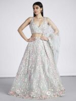 Lime Green Color Net Lehenga Choli