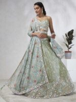 Pista Color Silk Chiffon Lehenga Choli