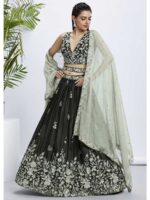 Olive Color Raw Silk Lehenga Choli