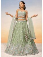 Pista Color Chiffon Lehenga Choli
