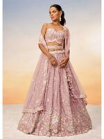 Rose Gold Color Chiffon Lehenga Choli