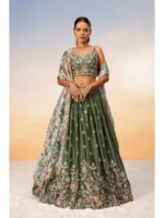 Olive Color Chiffon Lehenga Choli