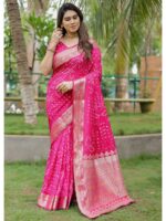 Pink Color Dola Silk Saree