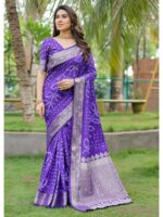 Blue Color Dola Silk Saree