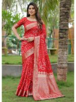 Maroon Color Dola Silk Saree