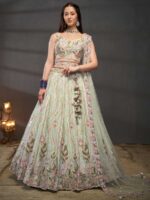 Pista Color Chiffon Lehenga Choli