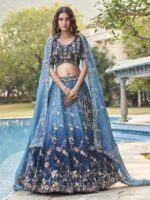 Blue Color Organza Lehenga Choli