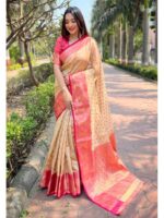 Chiku Color Tissue Silk Saree