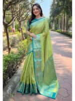 Pista Color Tissue Silk Saree