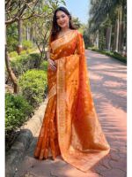 Orange Color Organza Saree