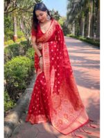 Red Color Organza Saree