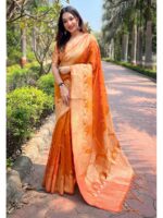 Orange Color Organza Saree