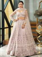 Beige Color Net Lehenga Choli