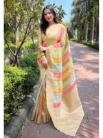 Chiku Color Organza Saree
