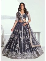 Dark Grey Color Butterfly Net Lehenga Choli