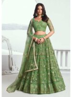 Pista Color Butterfly Net Lehenga Choli