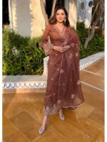 Brown Color Readymade Salwar Suit