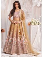 Brown Color Tissue Lehenga Choli