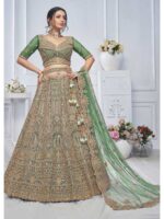 Green Color Soft Net Lehenga Choli