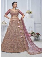 Onion Color Soft Net Lehenga Choli