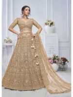 Brown Color Soft Net Lehenga Choli