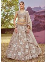 Beige Color Organza Lehenga Choli