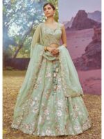 Pista Color Organza Lehenga Choli