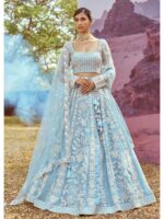 Sky Blue Color Organza Lehenga Choli