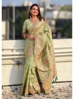 Pista Color Pashmina Silk Saree