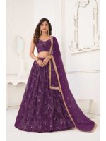 Wine Color Butterfly Net Lehenga Choli