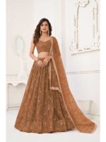 Brown Color Butterfly Net Lehenga Choli