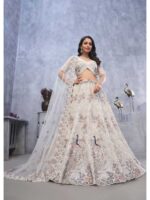 Silver Color Soft Net Lehenga Choli