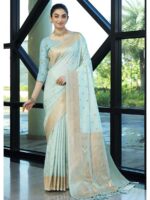 Aqua Color Nylon Banarasi Saree