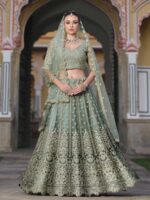 Pista Color Butterfly Net Lehenga Choli