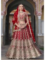 Red Color Butterfly Net Lehenga Choli