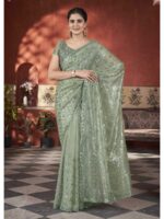 Pista Color Tissue Net Saree