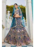 Blue Color Net Lehenga Choli