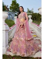 Pink Color Net Lehenga Choli