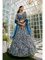 Blue Color Net Lehenga Choli