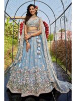 Blue Color Net Lehenga Choli
