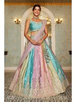 Multy Color Organza Lehenga Choli