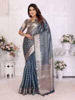 Blue Color Blue Saree