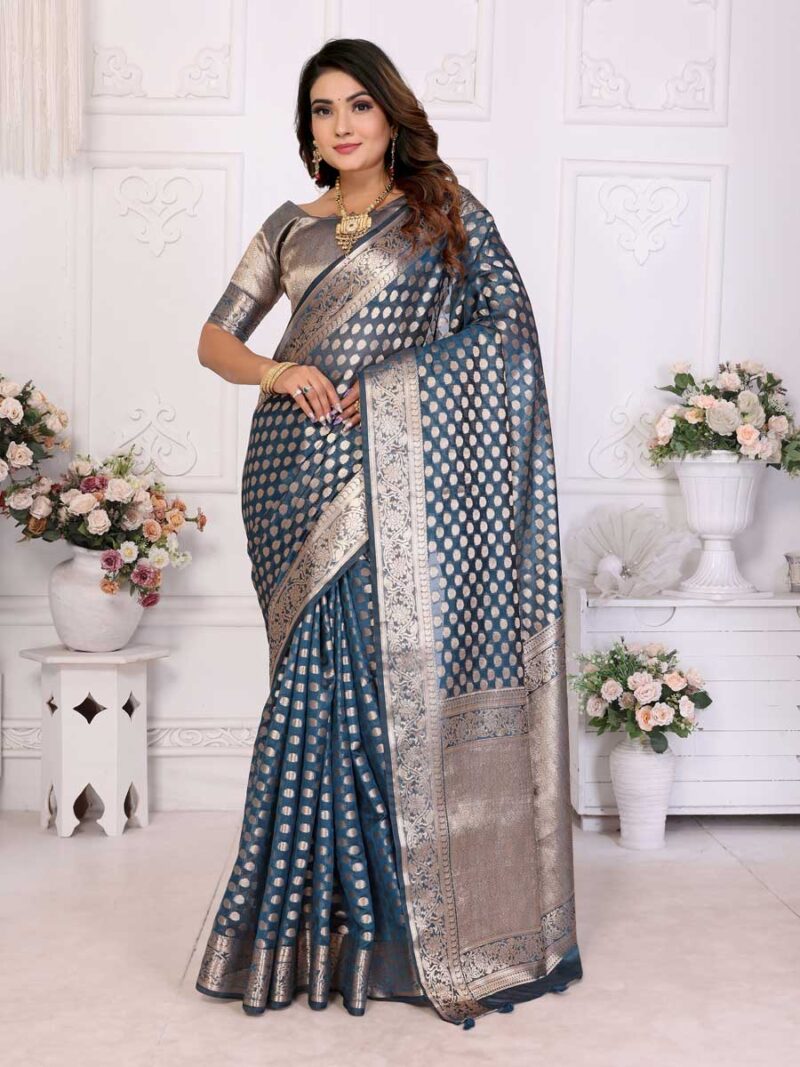 Blue Color Blue Saree