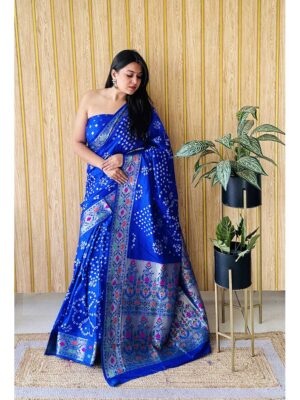 Blue Color Blue Saree