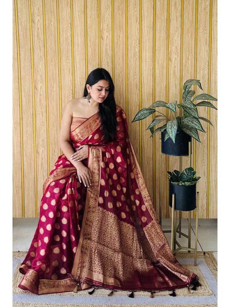 Burgundy Color Burgundy Saree - Image 2