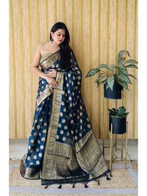 Blue Color Blue Saree