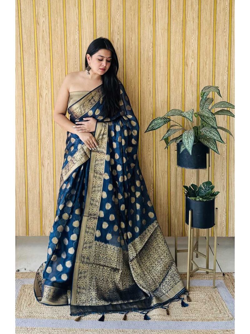 Blue Color Blue Saree