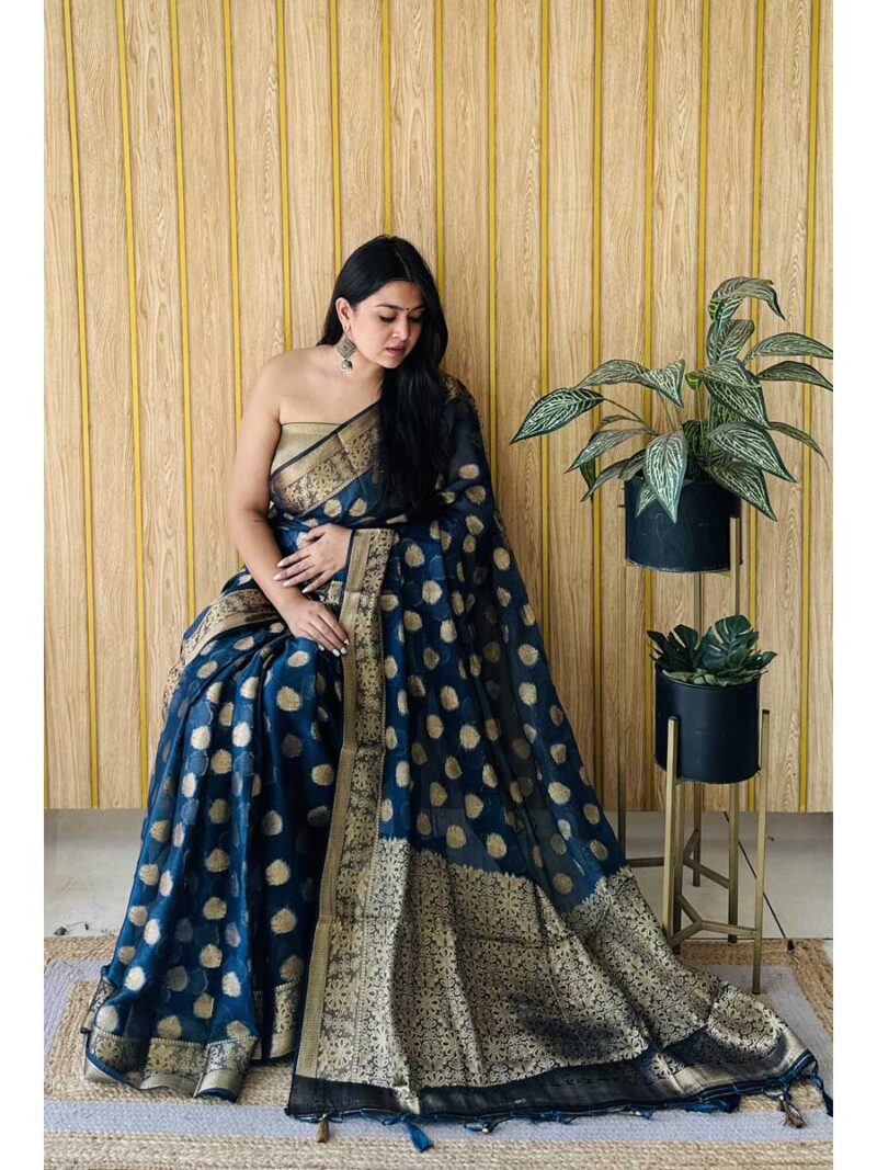 Blue Color Blue Saree - Image 2