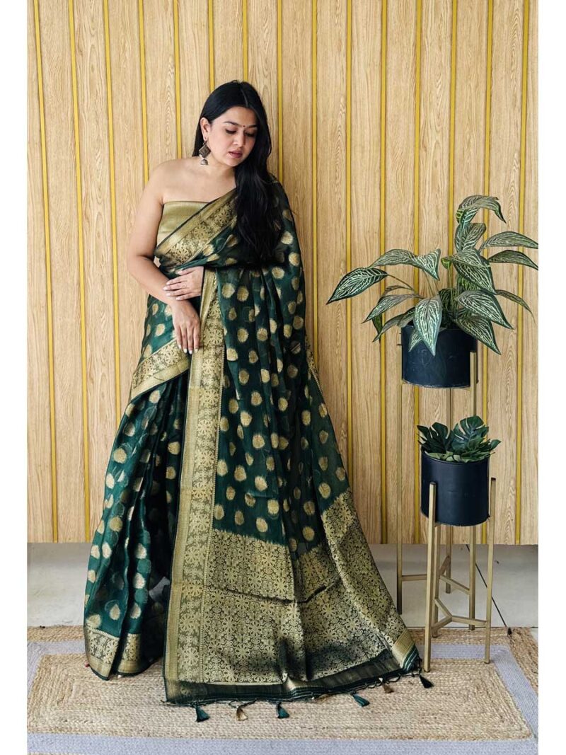 Green Color Green Saree